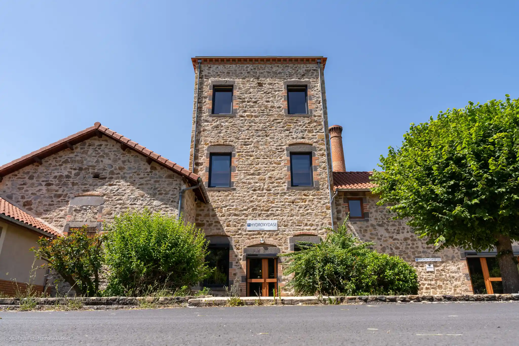 Histoire Hydroxydase